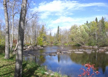 Pine Tree Campground Manitoba Macap
