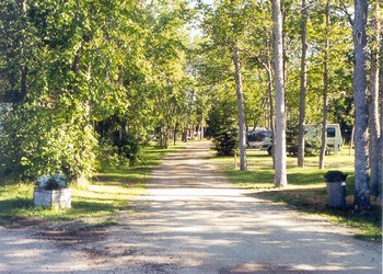 Pine Tree Campground Manitoba Macap